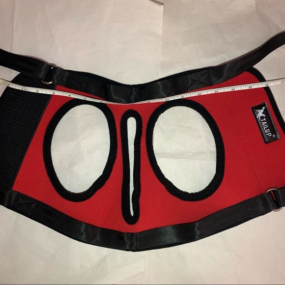 Dog rear legs harness - Picture 10 of 14